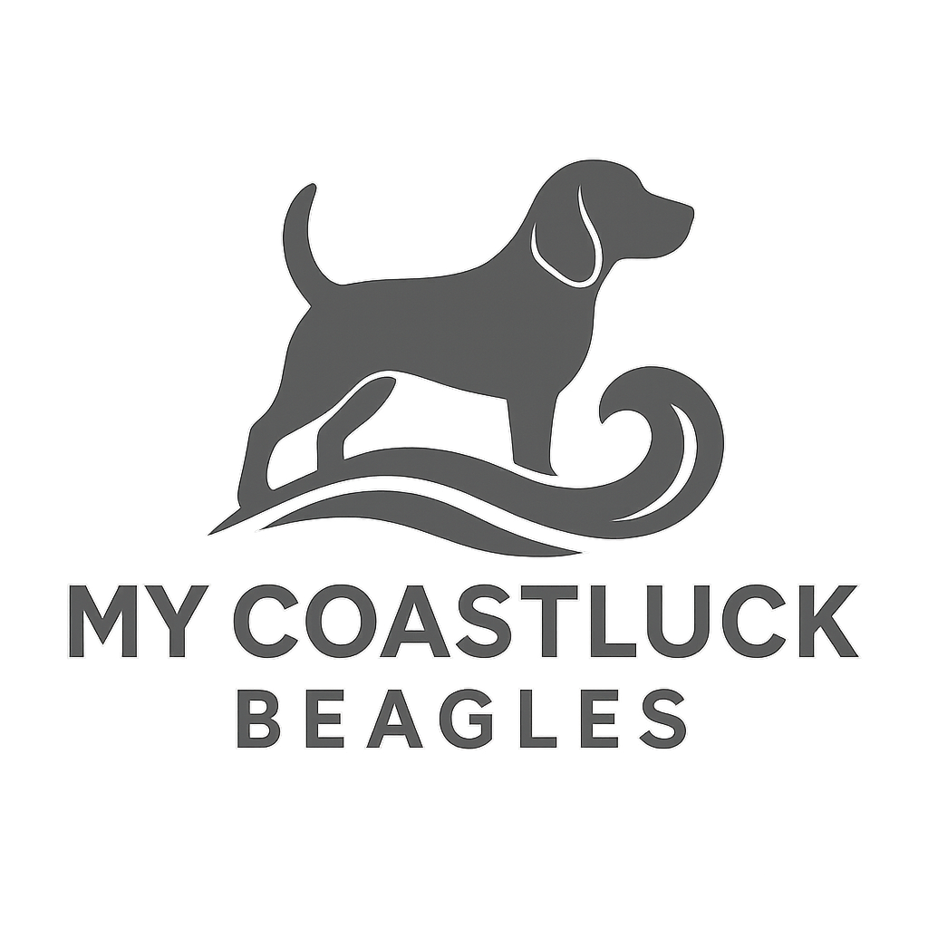 My Coastluck Beagles