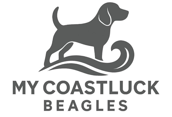 My Coastluck Beagles
